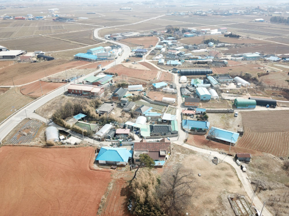 괴정마을 후경